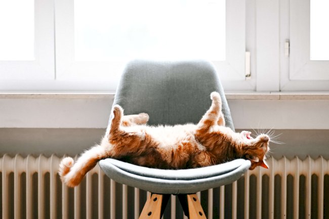 Comment prendre soin de son installation de chauffage ?