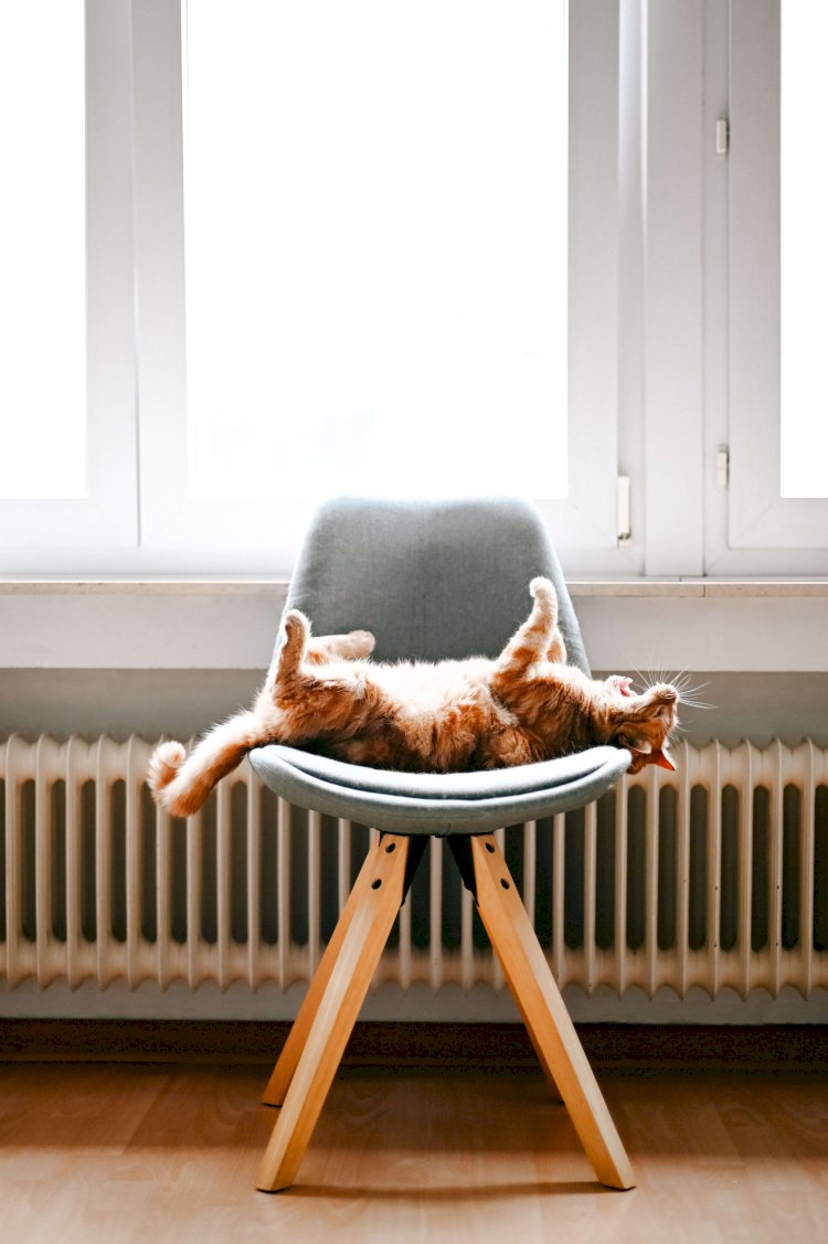 Comment prendre soin de son installation de chauffage ?