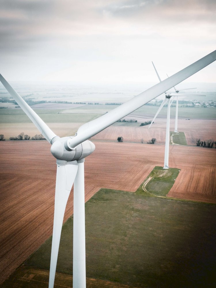 La transition écologique et énergétique 