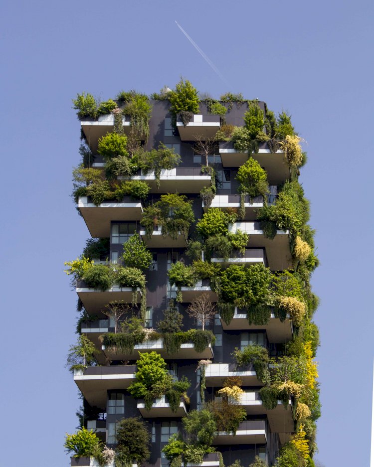 La transition écologique et énergétique 
