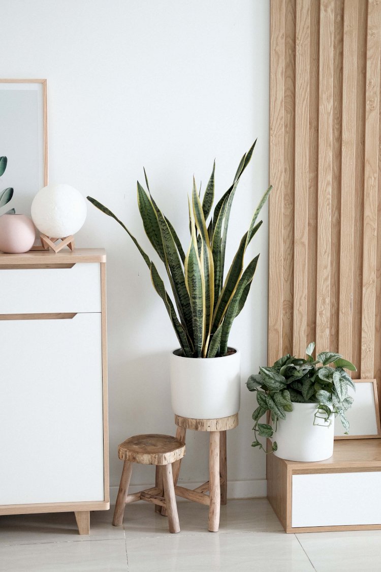 2020 : les tendances déco annoncées pour la nouvelle année 
